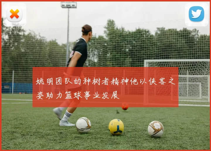 姚明团队的种树者精神他以侠客之姿助力篮球事业发展